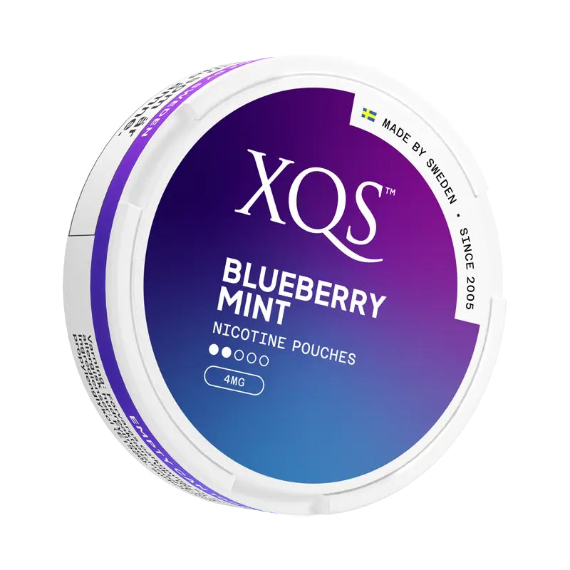 XQS Blueberry Mint - 4mg